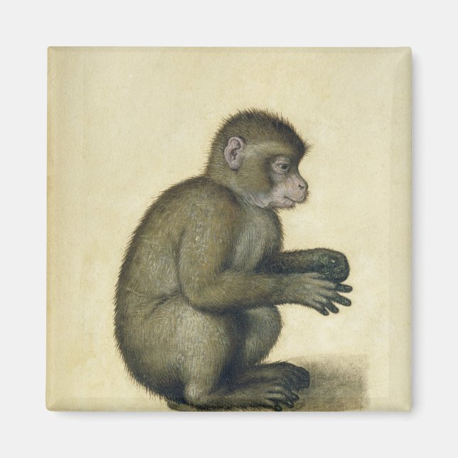 A Monkey Magnet (Front)