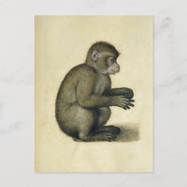 A Monkey Postcard (Front)