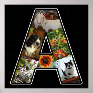A Monogram Create Your Own 6 Photo Collage Black Poster
