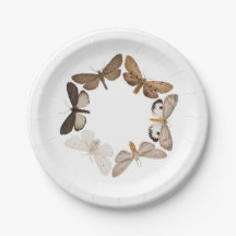A moth plate