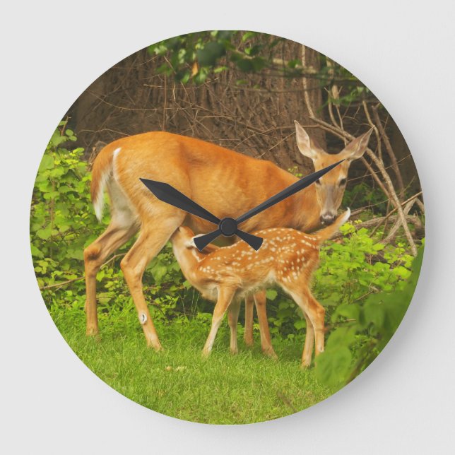 A mother deer and her fawn large clock (Front)
