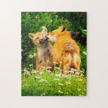 A Mother's Kiss Wildlife Nature Art Print