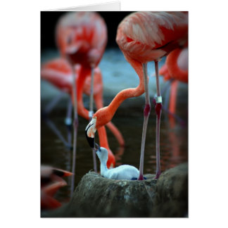 A Mother's Love