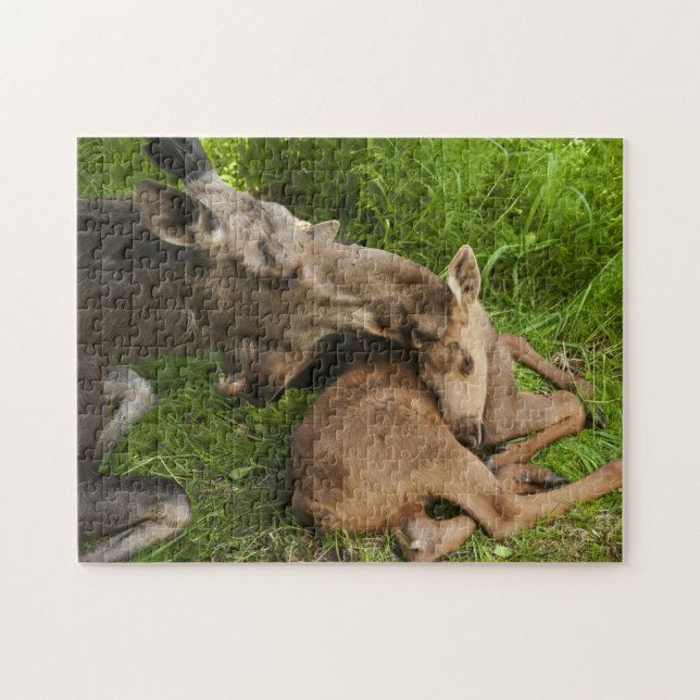 A Mother's Love Jigsaw Puzzle (Horizontal)