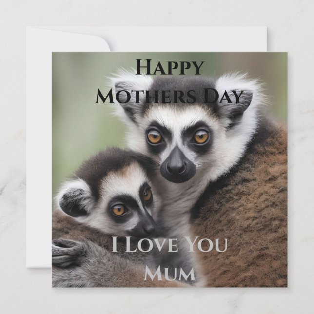 **"A Mother's Love: Mummy and Baby Lemur Cuddling" (Front)
