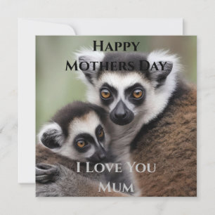 **"A Mother's Love: Mummy and Baby Lemur Cuddling"