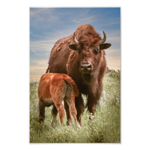 A Mothers Love Photo Print