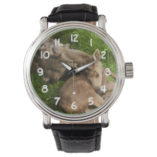 A Mother's Love Watch