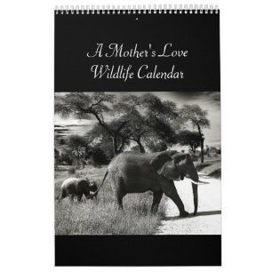 A Mother's Love Wildlife Calendar