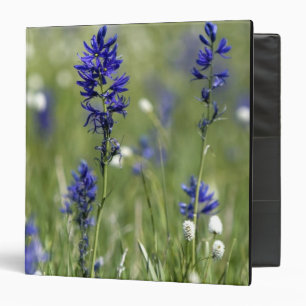 A mountain meadow of wildflowers including binder