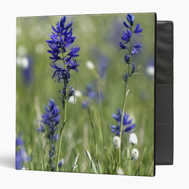 A mountain meadow of wildflowers including binder (Front/Inside)