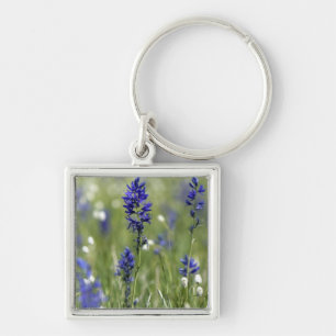 A mountain meadow of wildflowers including keychain