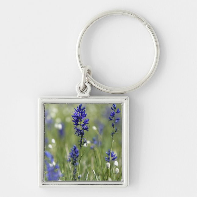 A mountain meadow of wildflowers including keychain (Front)
