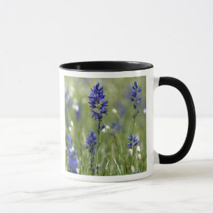 A mountain meadow of wildflowers including mug