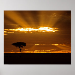 A mouth openning sunrise in the Maasai Mara Poster