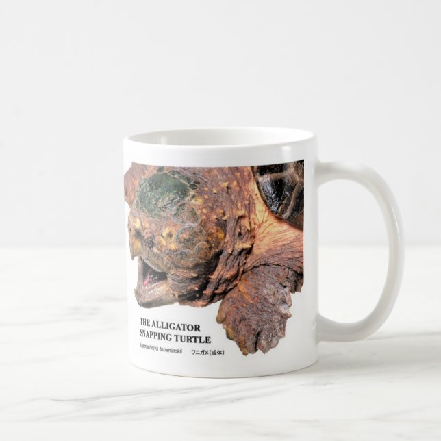 a mug of a crocodile turtle (Right)
