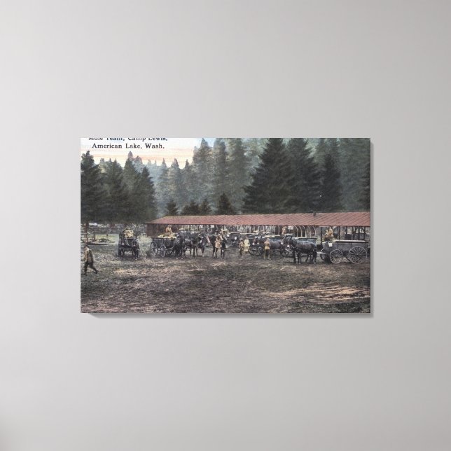 A Mule Team at Camp Lewis Canvas Print (Front)