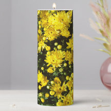 A Multitude of Yellow Mums