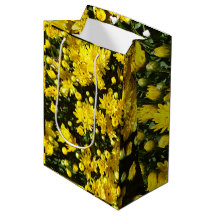 A Multitude of Yellow Mums