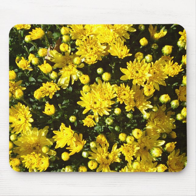 A Multitude of Yellow Mums Mouse Pad (Front)