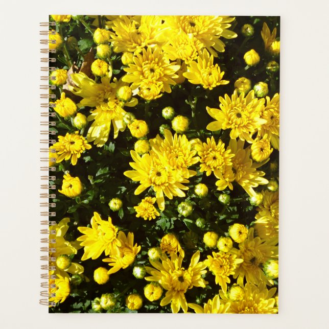 A Multitude of Yellow Mums Planner (Front)
