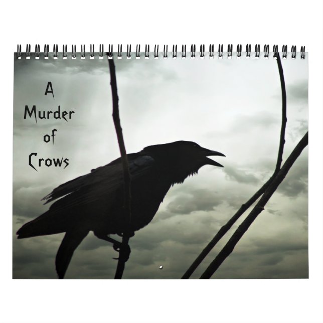 A Murder of Crows Calendar (Cover)