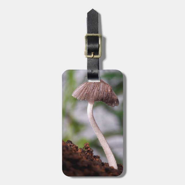 A Mushroom Luggage Tag (Front Vertical)