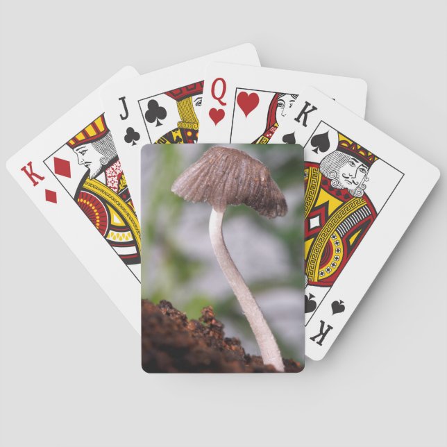 A Mushroom Playing Cards (Back)