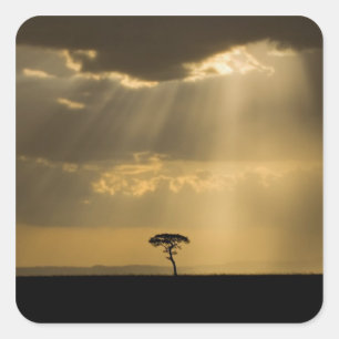 A mystical sunset on return to camp in the square sticker