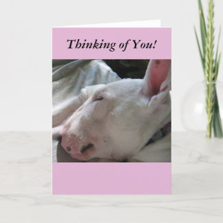 A Nap In The Sun-Thinking of You Card