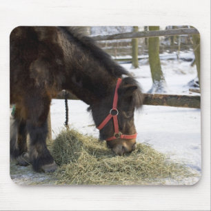 A native horse originally from Gotland where Mouse Pad