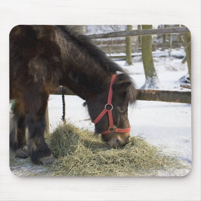 A native horse originally from Gotland where Mouse Pad (Front)