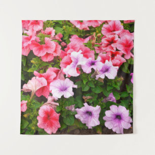 A nature photo is a beautiful petunia flower. Plan Tapestry