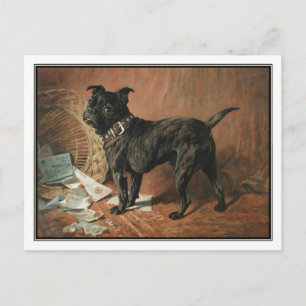 A Naughty Black Pug by John Emms Postcard