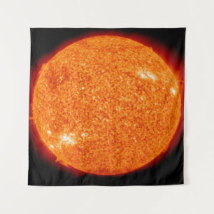 A NEAR VIEW OF THE BEAUTIFUL SUN TAPESTRY