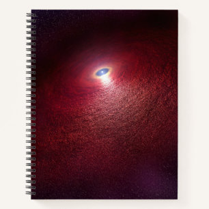 A Neutron Star With A Disc Of Warm Dust. Notebook