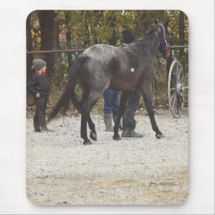 A New Horse Mouse Pad