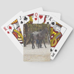 A New Horse Playing Cards