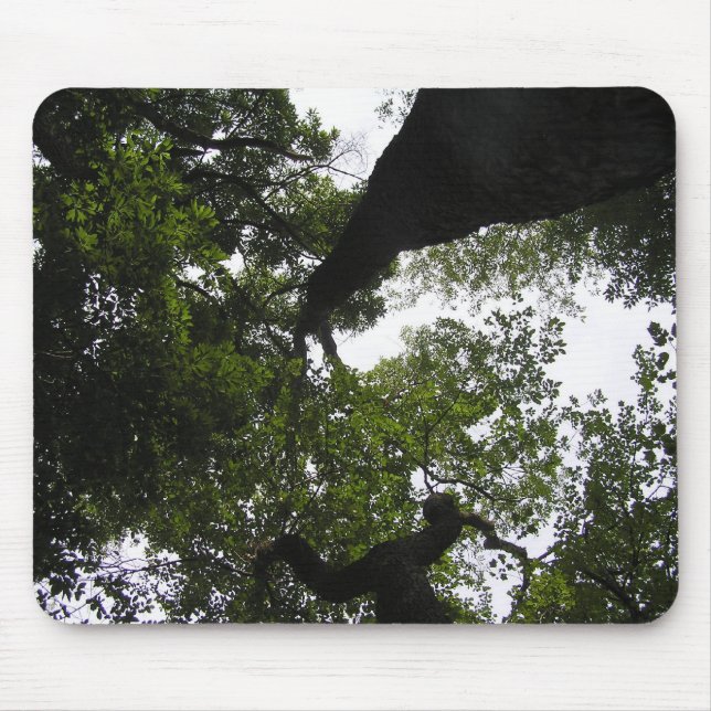 A New Perspective - Trees Mouse Pad (Front)