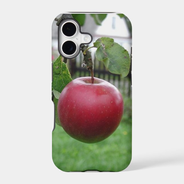 A Nice Juicy Apple (Back)