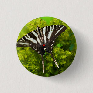 A North American Swallowtail Butterfly 1 Inch Round Button