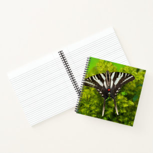 A North American Swallowtail Butterfly Notebook