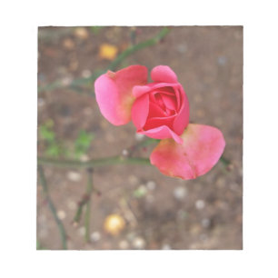 A November rosebud Notepad