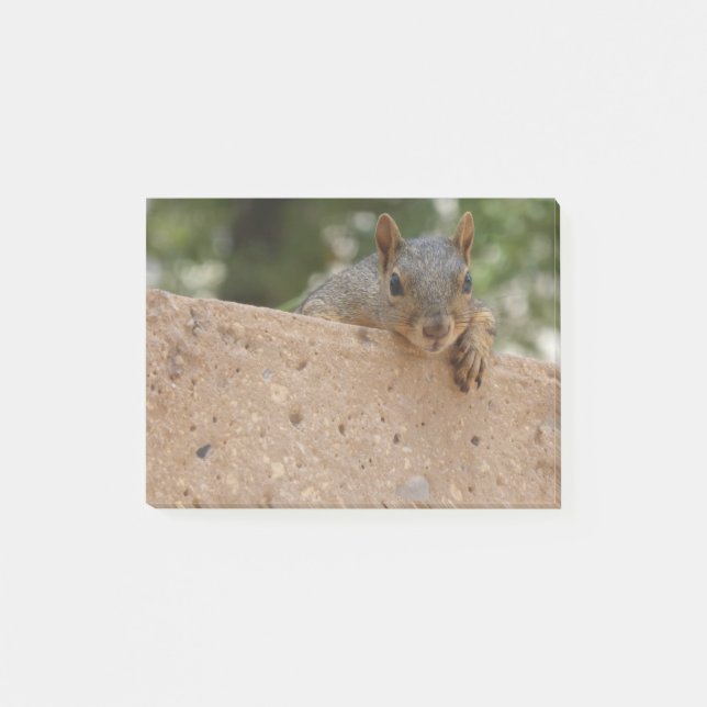 A Nut (Note) for you Post-It Post-it Notes (Front)