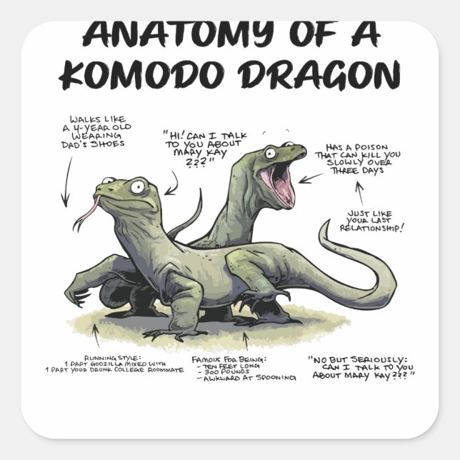 A nwaAnatomy Of A Komodo Dragon The Bearded Dragon Square Sticker (Front)