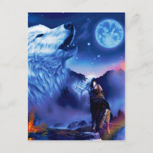 A pack of wolves on a dark night postcard