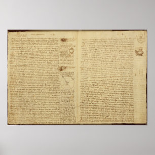 A page from the Codex Leicester, 1508-12 Poster