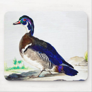 A painting of a duck by Aert Schouman  Mouse Pad
