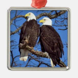 A Pair of Bald Eagles Metal Ornament