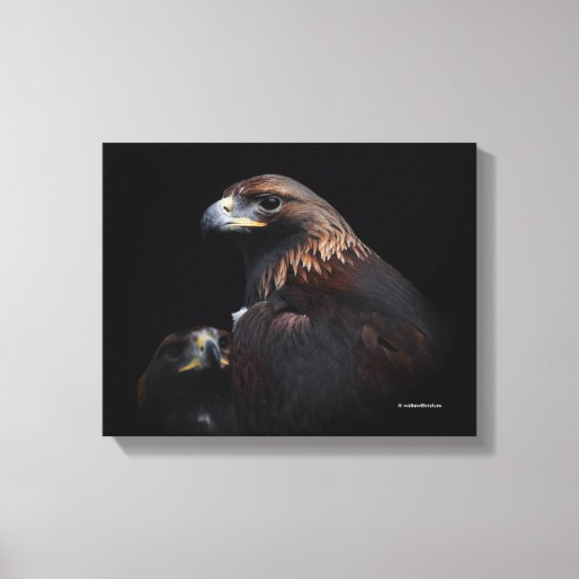A Pair of Beautiful Golden Eagles Canvas Print (Front)